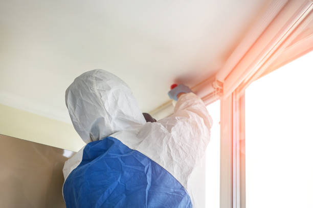 Why You Should Choose Our Mold Remediation Services in Valley Green, PA